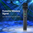 Professional UHF Wireless Handheld Microphone Karaoke Mic System LCD Display
