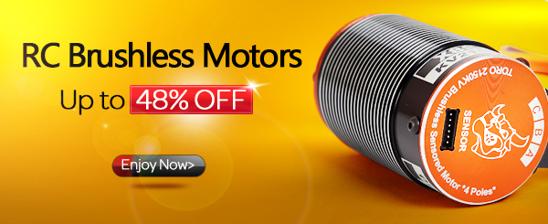Brushless motor up to 48% off